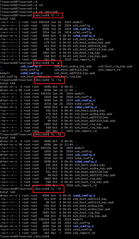 Experiment with ls options