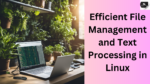 Efficient File Management and Text Processing in Linux