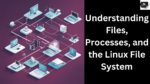 Understanding Files, Processes, and the Linux File System