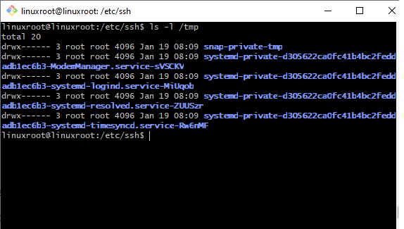 Command with ls-l /tmp