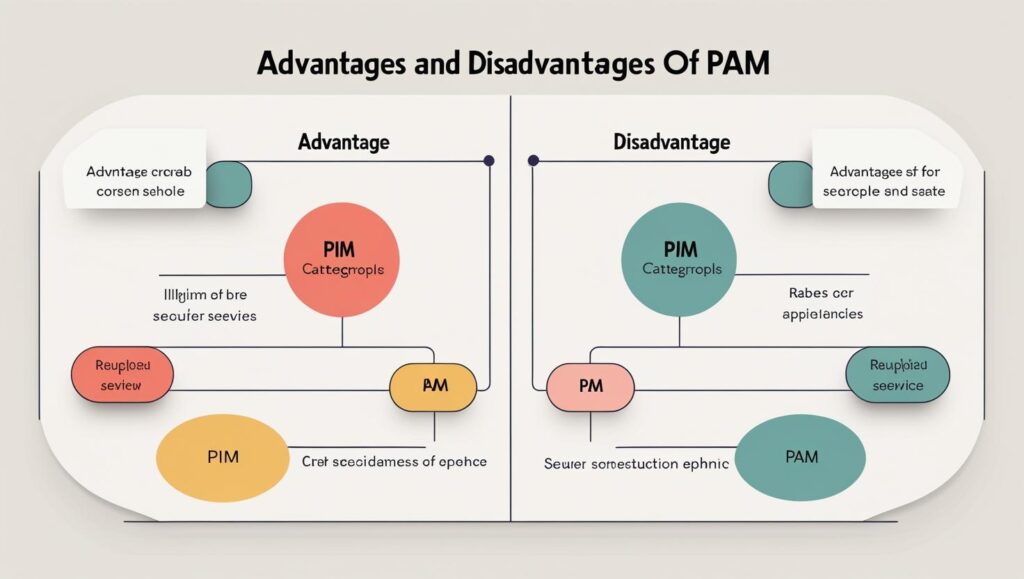 Advantages and Disadvantages_ of PIM and PAM